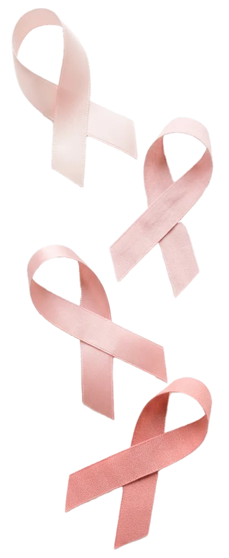 Rubans roses symbole d'Octobre Rose, page association Toujours L pour la sensibilisation au cancer du sein chez la femme
